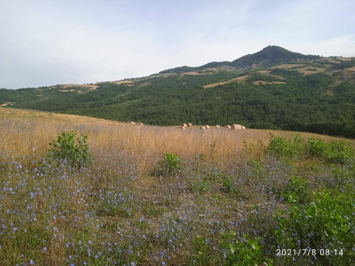 Due Principi E Una Fata Sestola Exterior foto